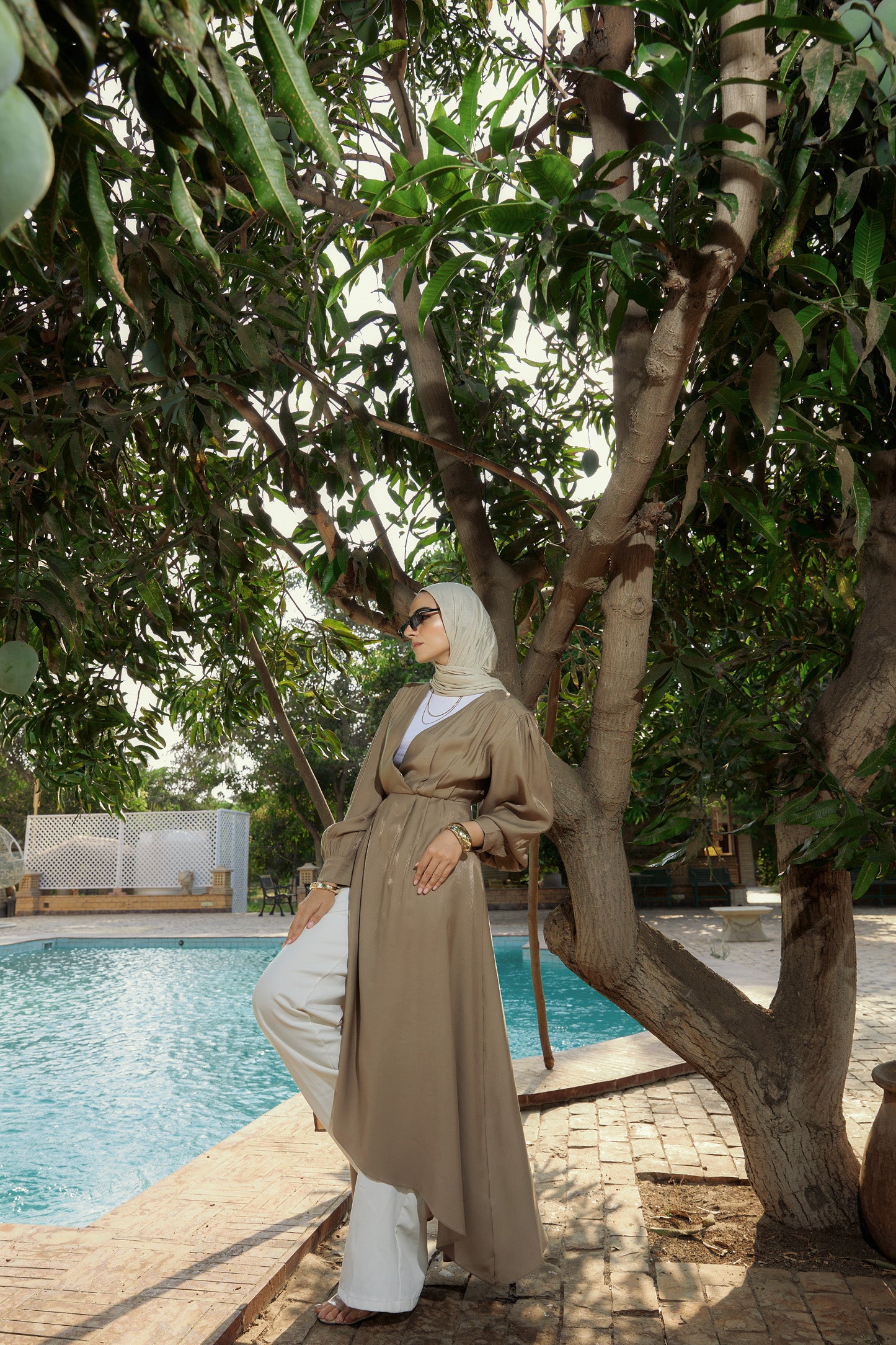 Brownish Calm Dress